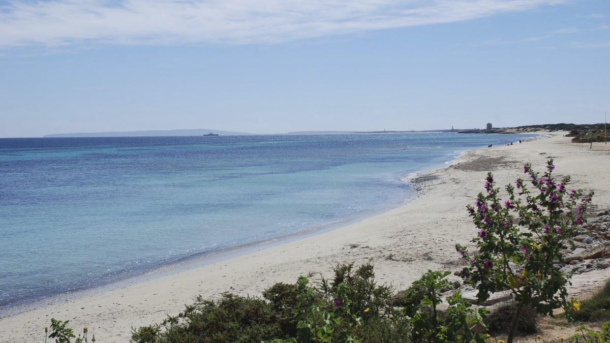 Es Cavallet beach.