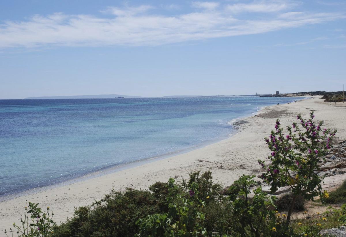Playa de es Cavallet en invierno. / X.P.
