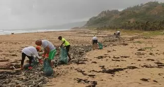 El plástico representa ya el 85% de los desechos marinos