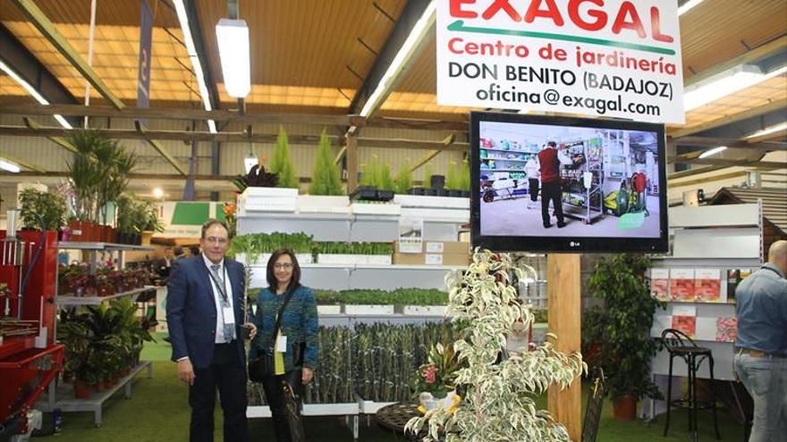 Exagal, expertos en semilleros de tomate, suministros y productos de jardinería