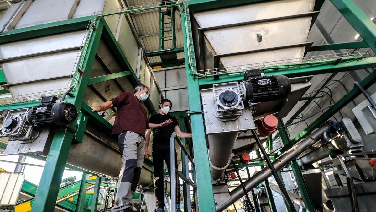 Las almazaras ya trabajan a pleno rendimiento.