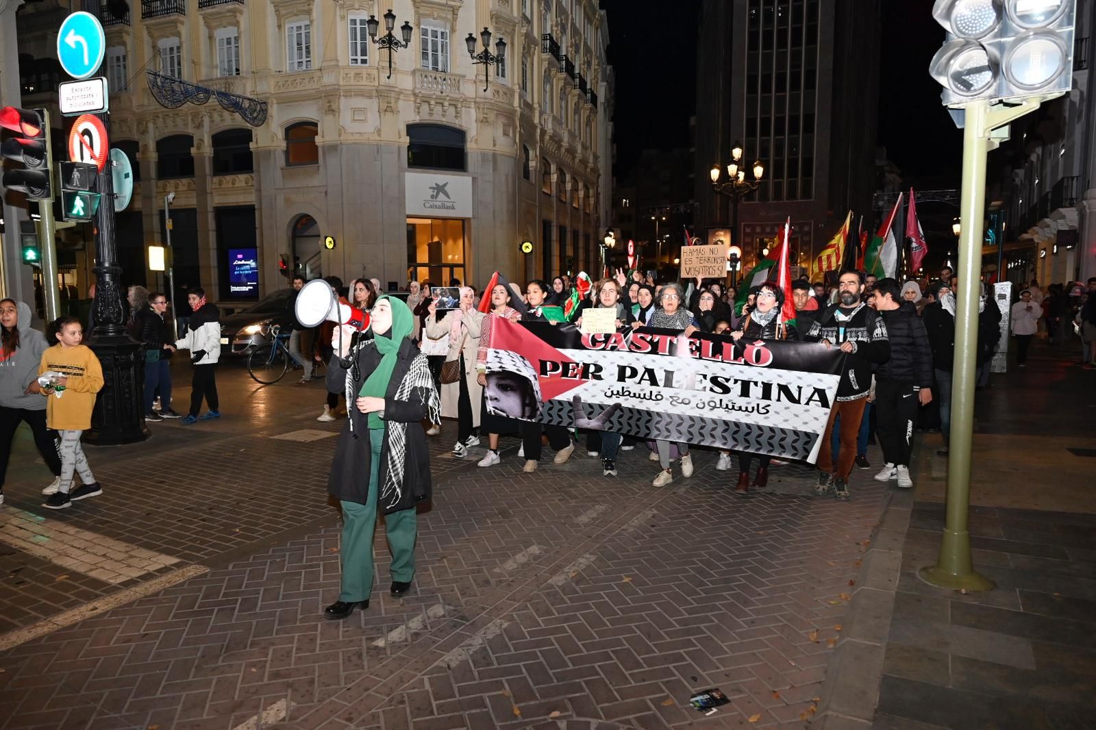 Galería: Manifestación en Castelló en defensa de Palestina