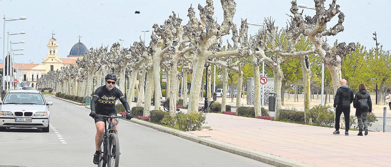 Último tramo de la actual avenida de Lledó de la capital que llega hasta la basílica de la patrona de Castelló y al que también afectará la remodelación.