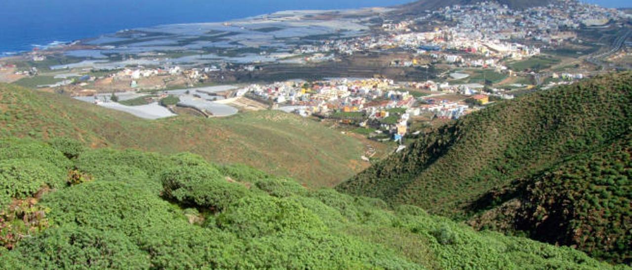 Vista de la vega de Gáldar desde la montaña de Amagro.