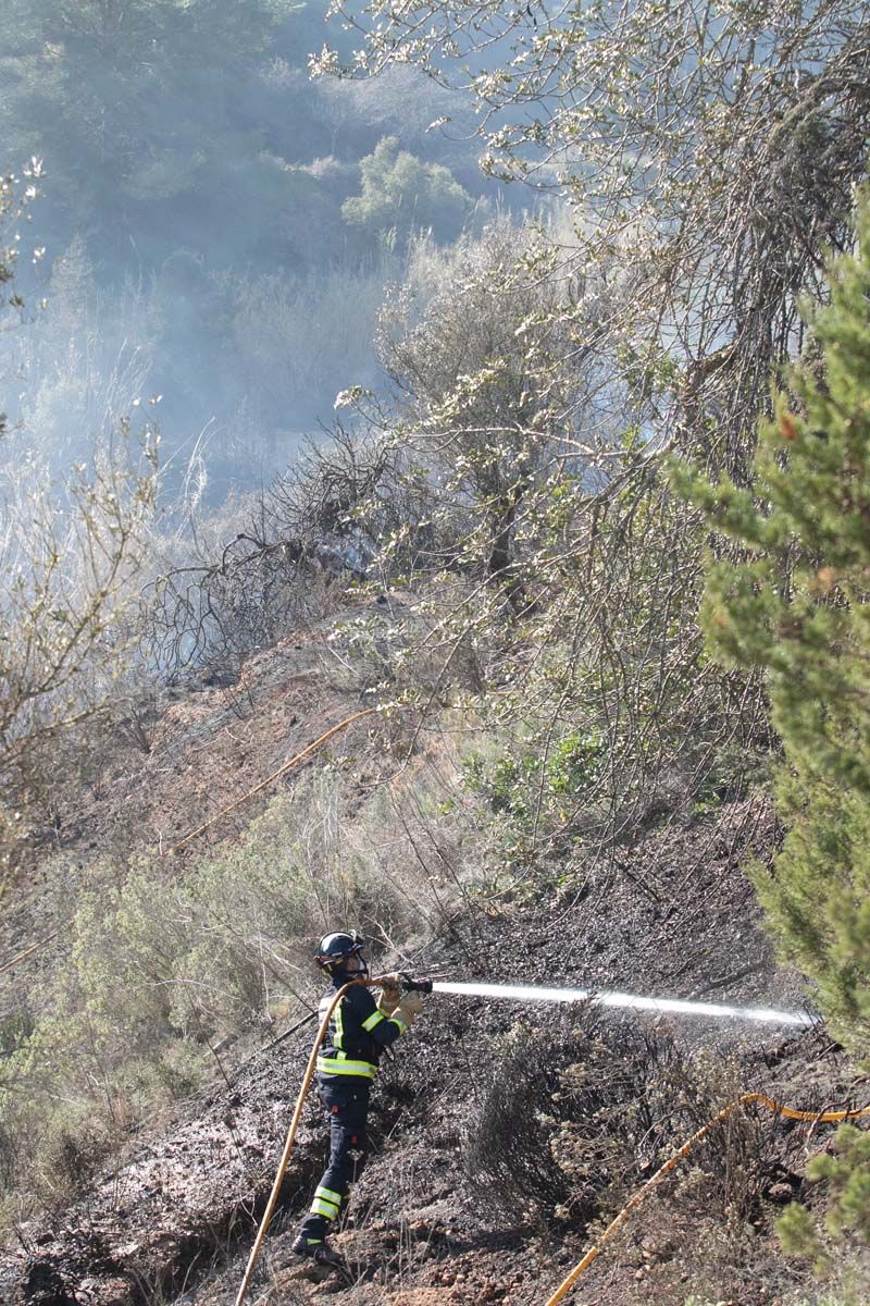 Alarma por un incendio en un torrente de Ibiza