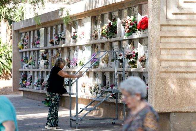 Así ha transcurrido el Día de Todos los Santos de 2022 en los cementerios de Málaga