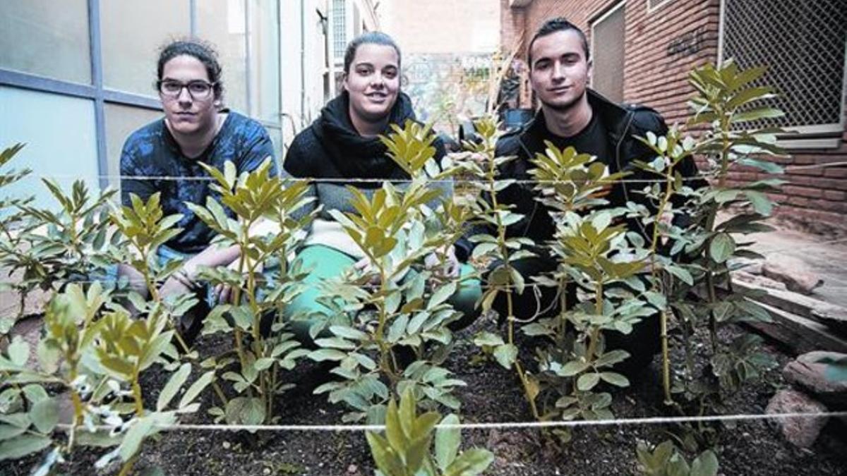 Miembros de la junta de la Plataforma de Joves del Sector Sud de Sabadell.