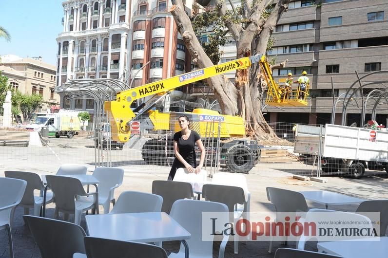 El estado final del ficus de Santo Domingo