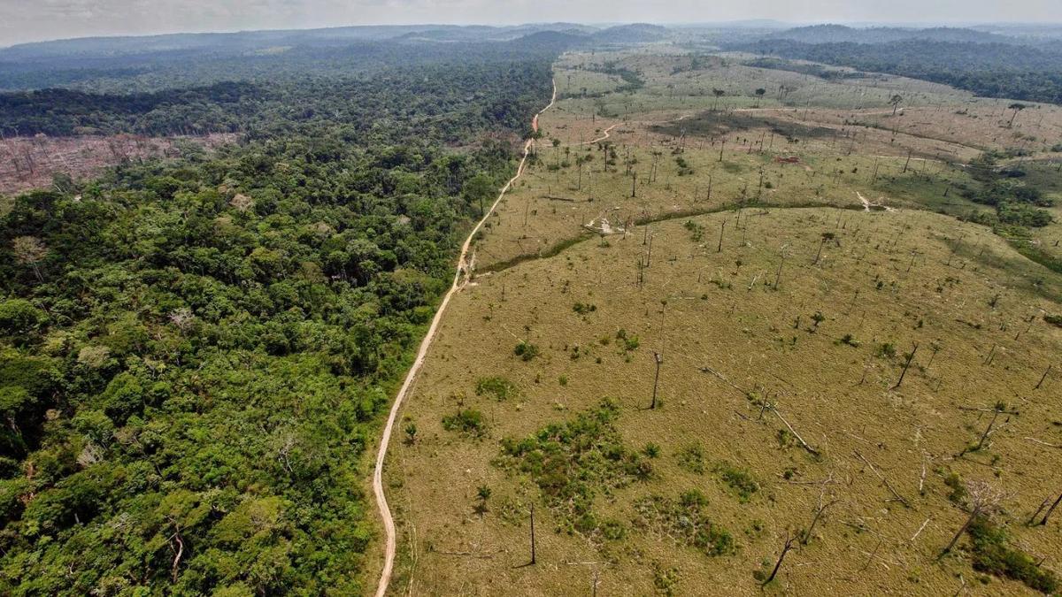 Deforestación en el Amazonas