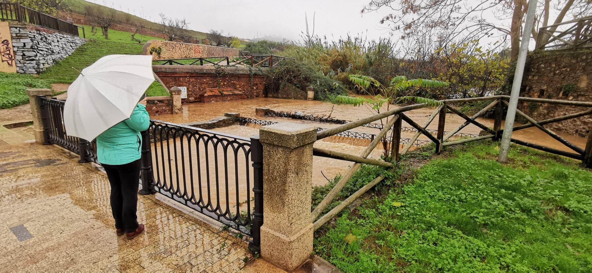 Las imágenes que deja la borrasca Efraín en Extremadura