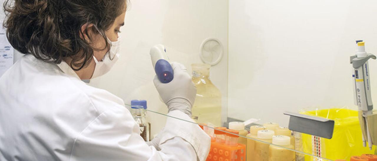 Una PCR «made in spain» elimina los falsos positivos por coronavirus