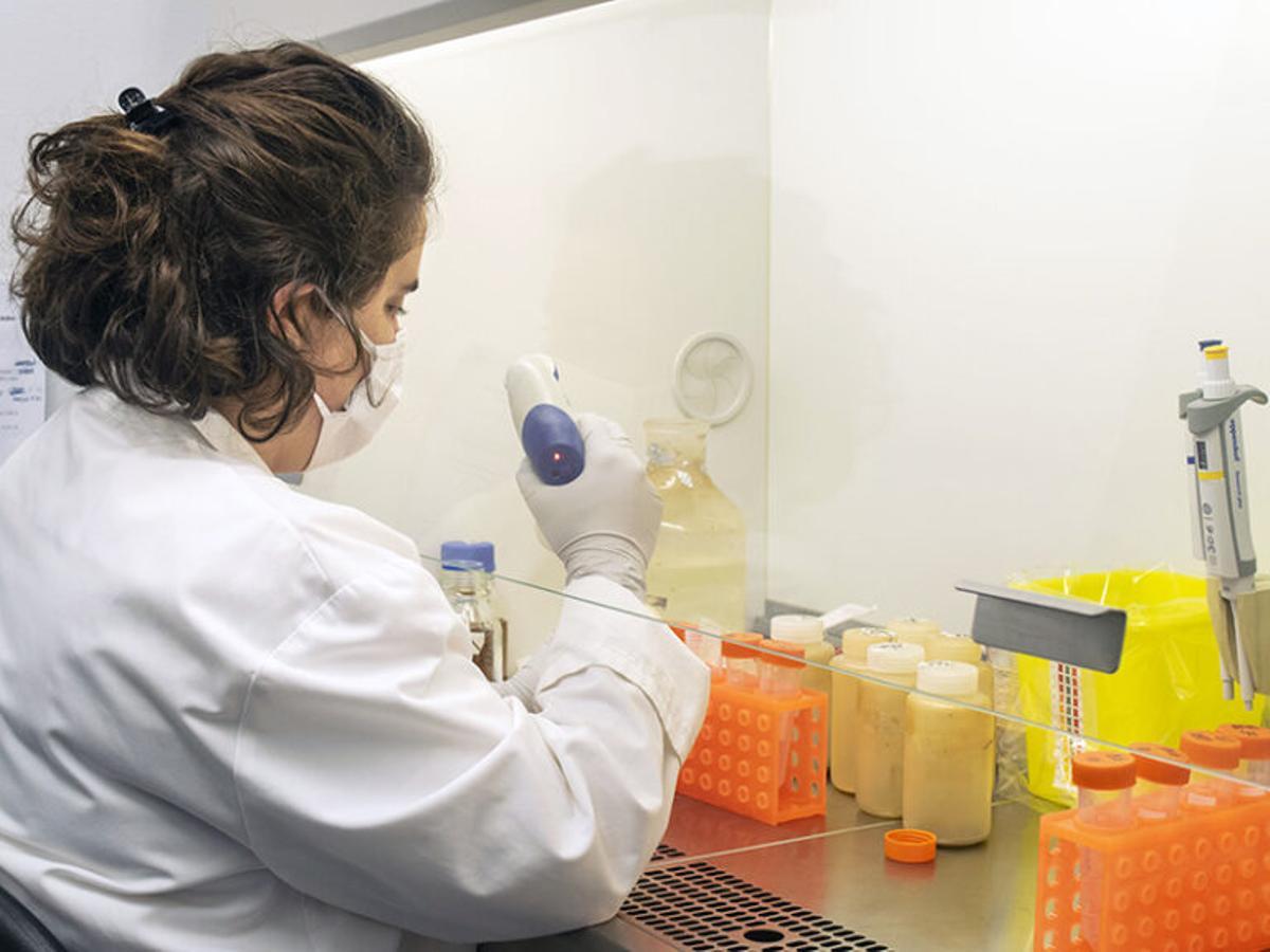 Una PCR «made in spain» elimina los falsos positivos por coronavirus