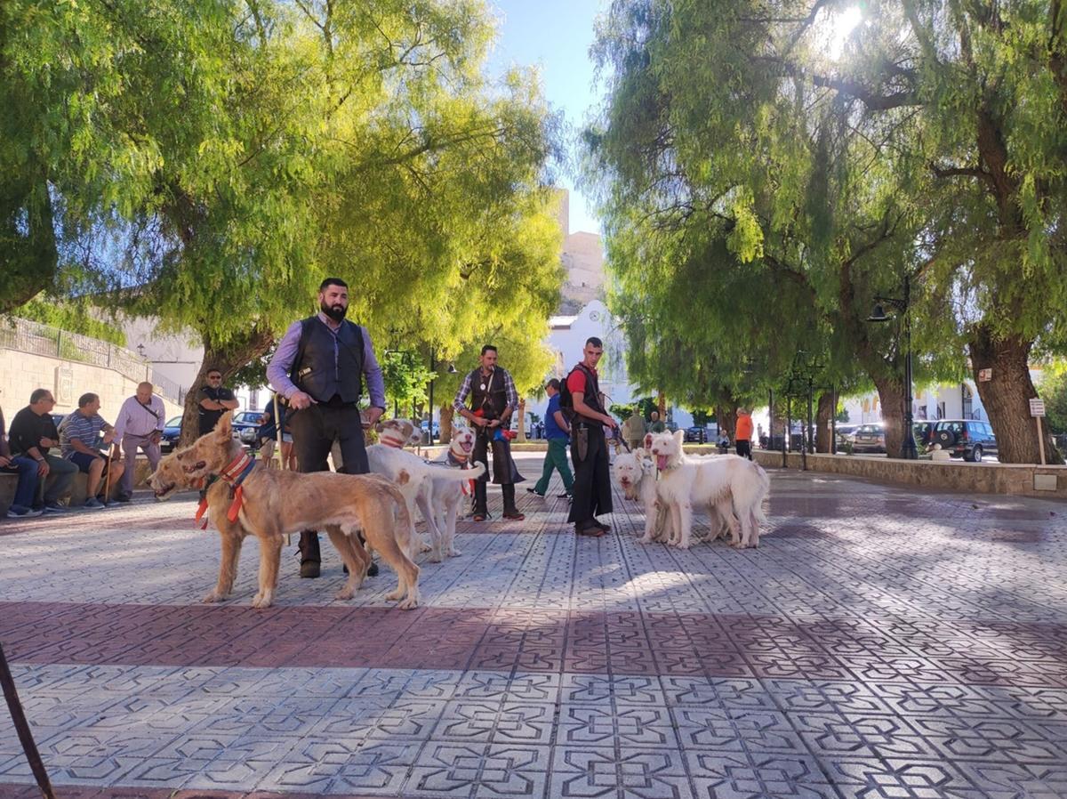 Una de las actividades complementarias de Intercaza.