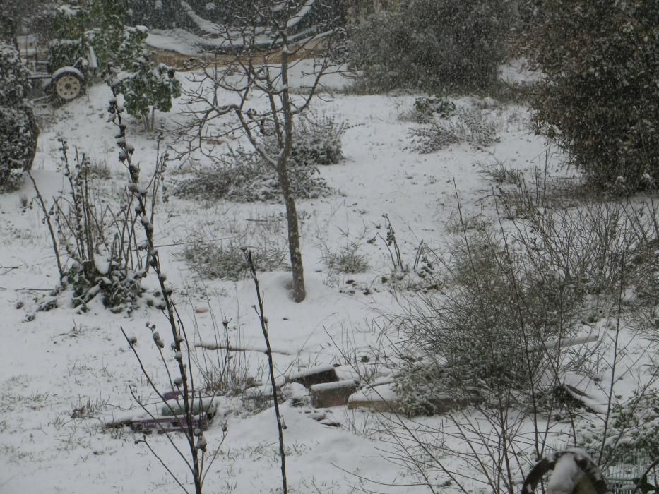 Nieve en Banyeres de Mariola