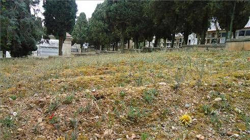 Cementerio de Cáceres, historia viva