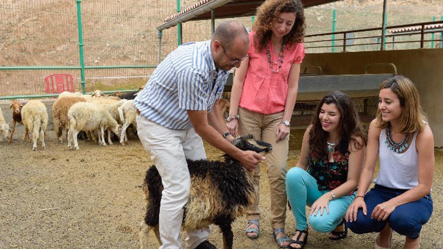 Jorge F. González, Tara Pérez, Julia Hdez. y Magnolia Conde en la Facultad de Veterinaria con ovejas objeto de estudio.