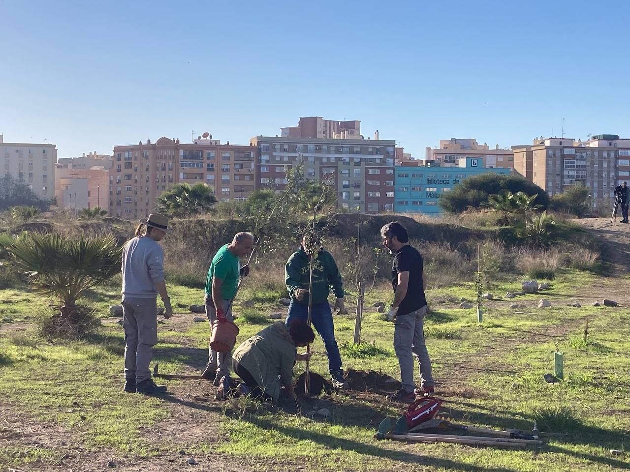 Bosque Urbano planta otros 30 árboles en los antiguos terrenos de Repsol