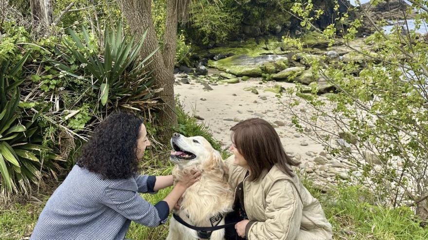 La playa de Ribeira Pequena se habilitará para el acceso de perros