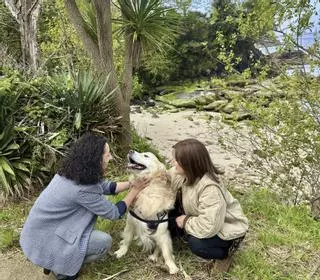 La playa de Ribeira Pequena se habilitará para el acceso de perros