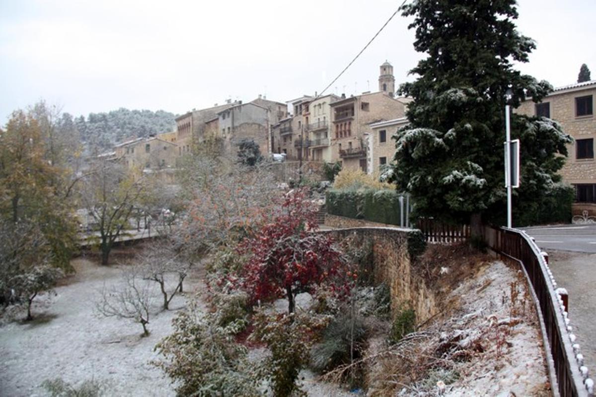 La nevada ha arribat fins a Vallclara (Conca de Barberà).