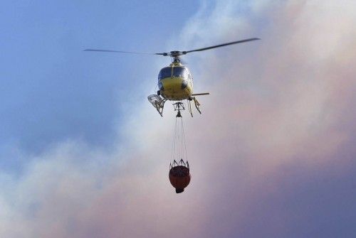 Incendi forestal a peu de les Gavarres