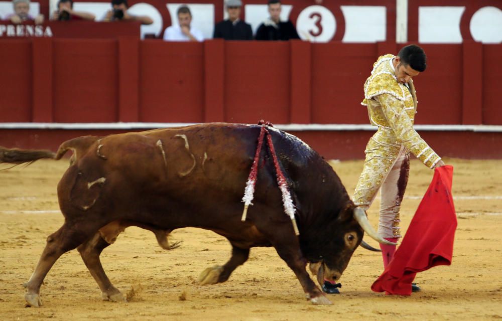 Feria de Málaga 2016 | Séptima de abono