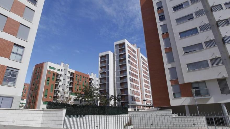 Imagen de una parte de las viviendas de Joven Futura, habitadas por más de mil familias, en una zona de huerta de Murcia.