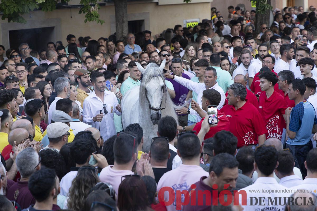 Fiestas de Caravaca | Entrega de premios del concurso morfológico