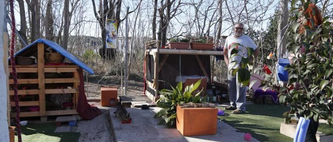 Un refugio de gatos en Manuel intenta evitar más envenenamientos masivos