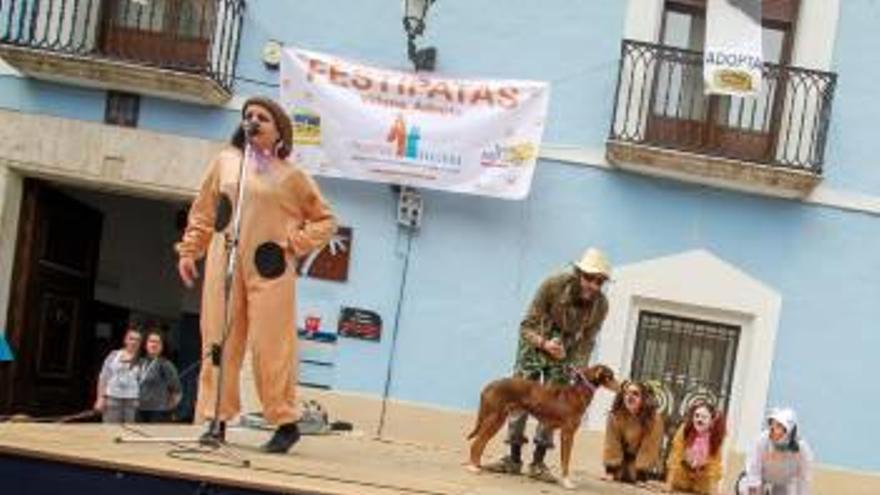 Festival para la adopción de mascotas