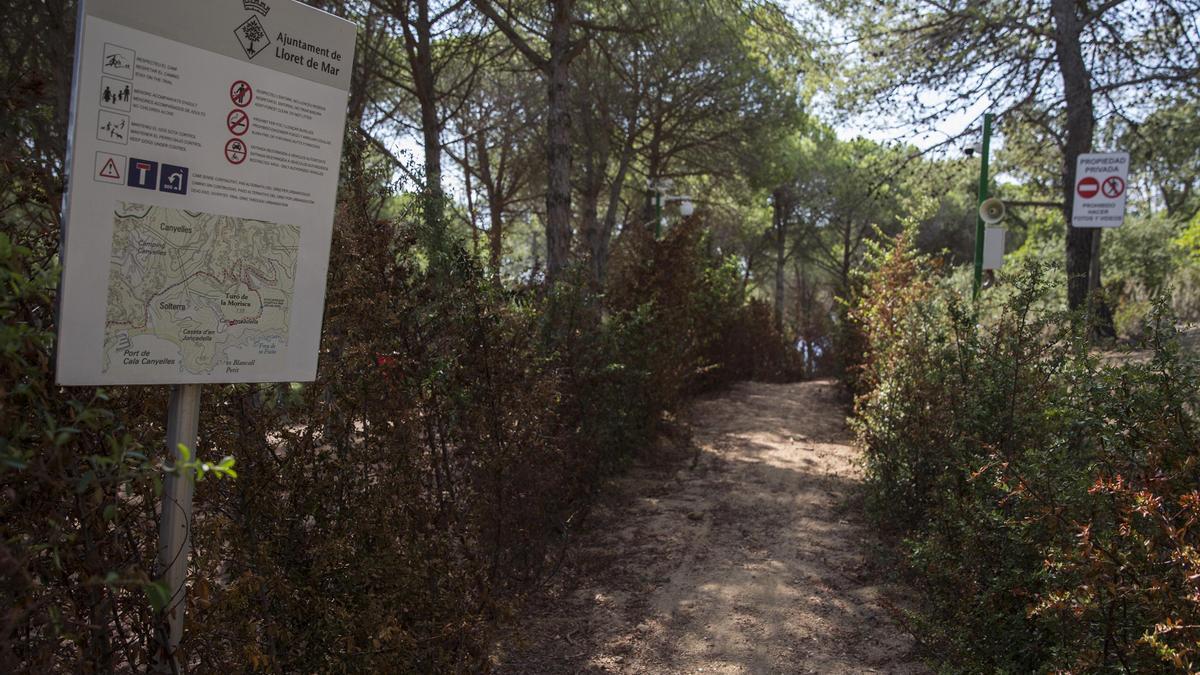 L'entrada a la finca de can Juncadella, arxiu