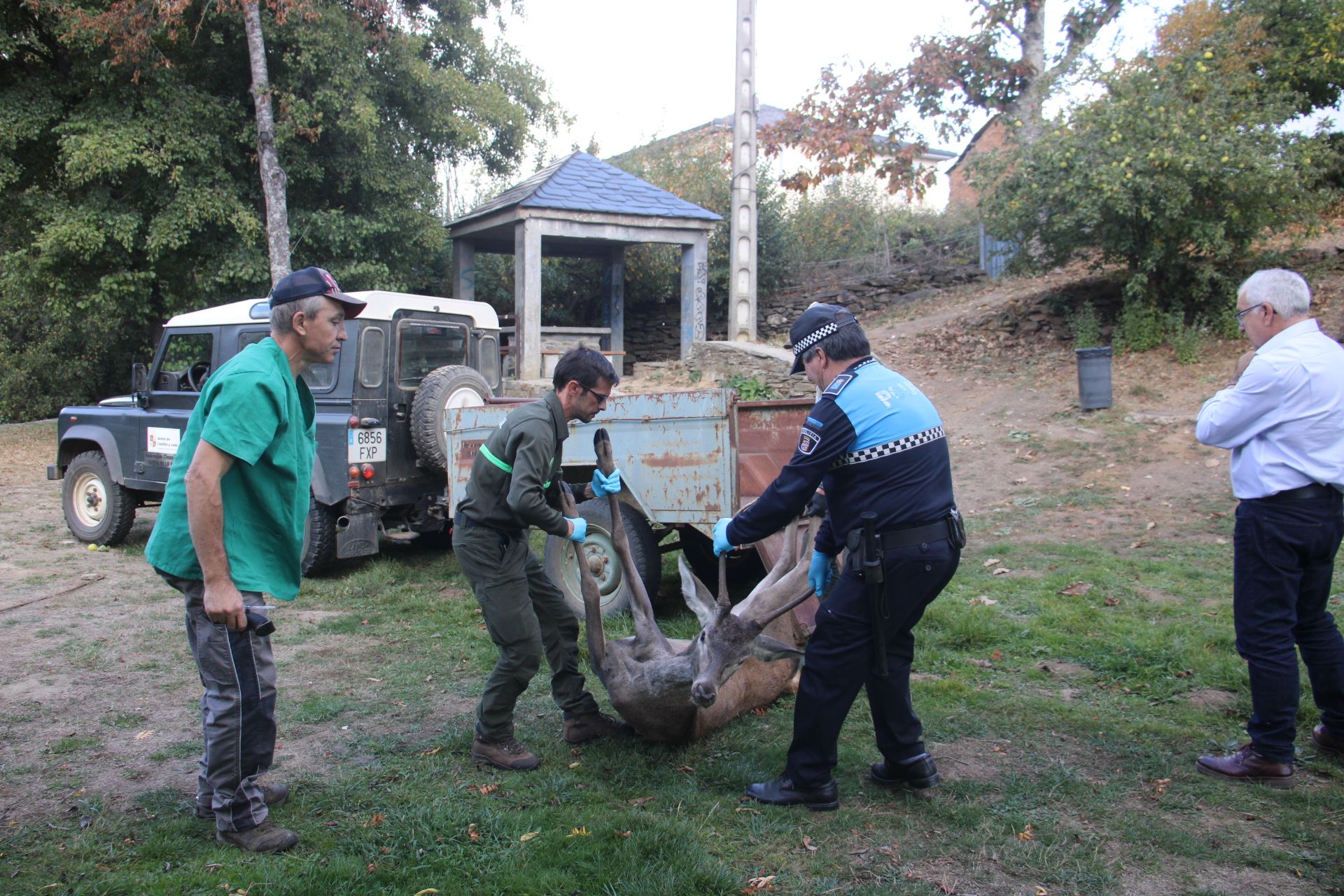 GALERÍA | Rescate de un ciervo enfermo en Puebla