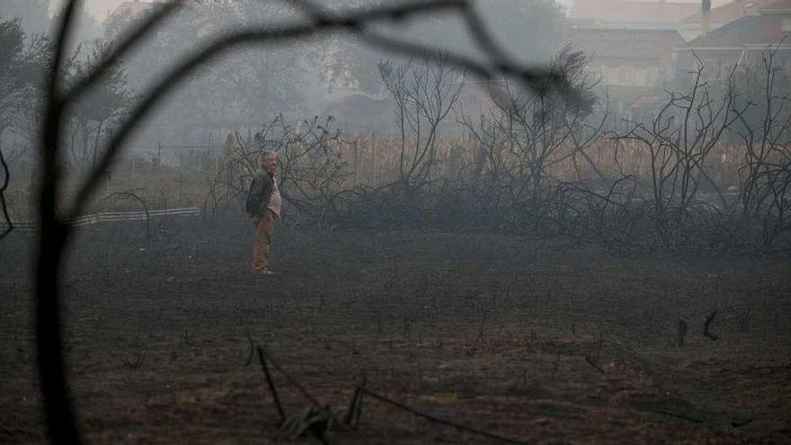 Un vecino observa el efecto del fuego en Carballeda de Avia (Ourense).