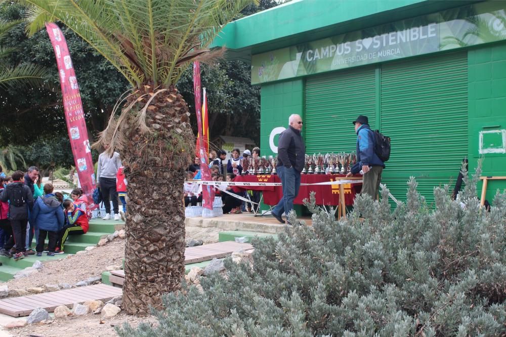 Final escolar del campeonato de orientación