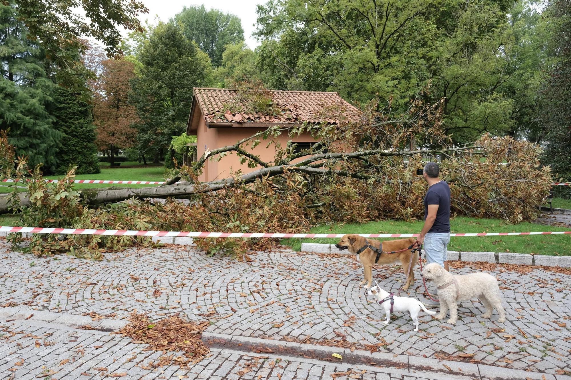 Los efectos de la espectacular tormenta en Gijón, en imágenes