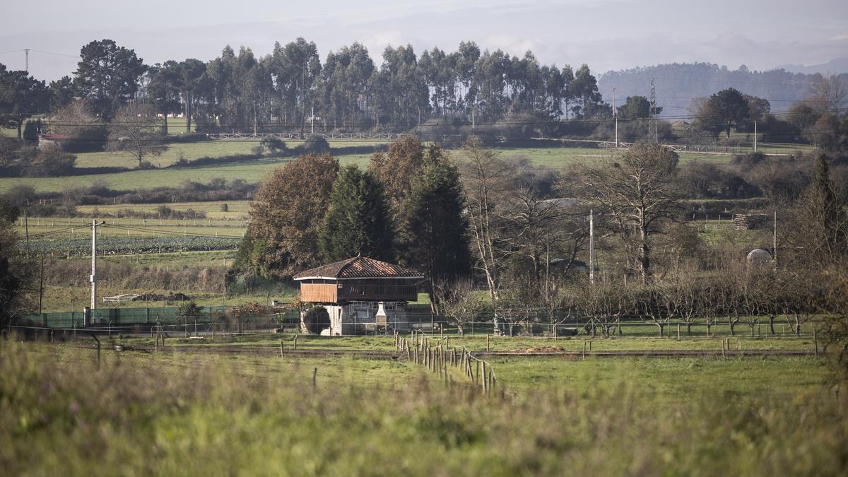 Asturianos en Llanera, un recorrido por el municipio