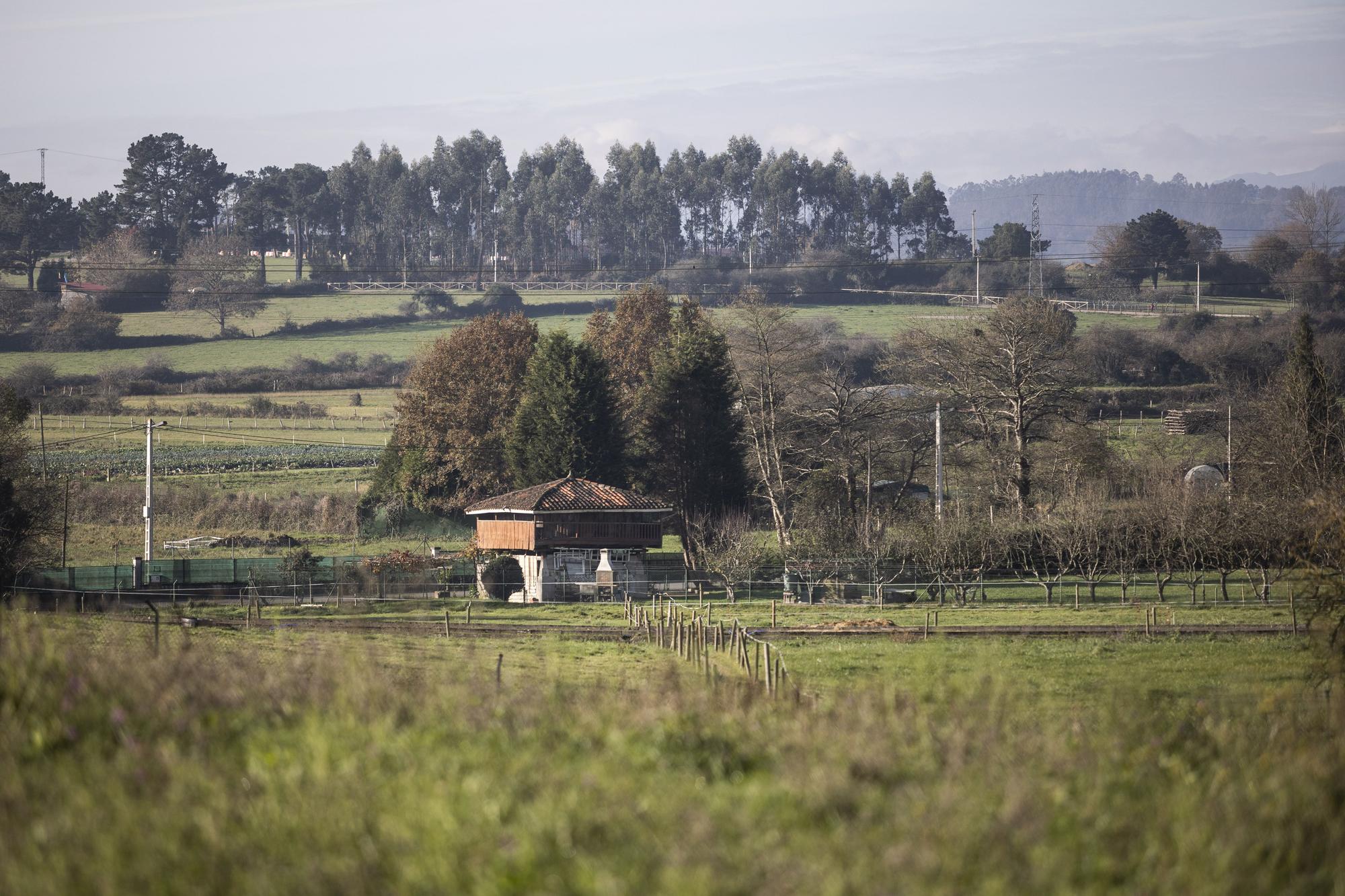 Asturianos en Llanera, un recorrido por el municipio