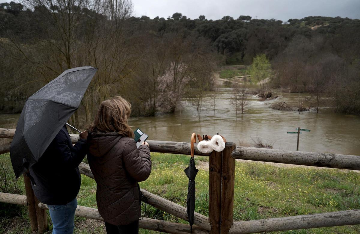Varias personas observan la crecida del río Manzanares muy cerca del embalse de El Pardo.