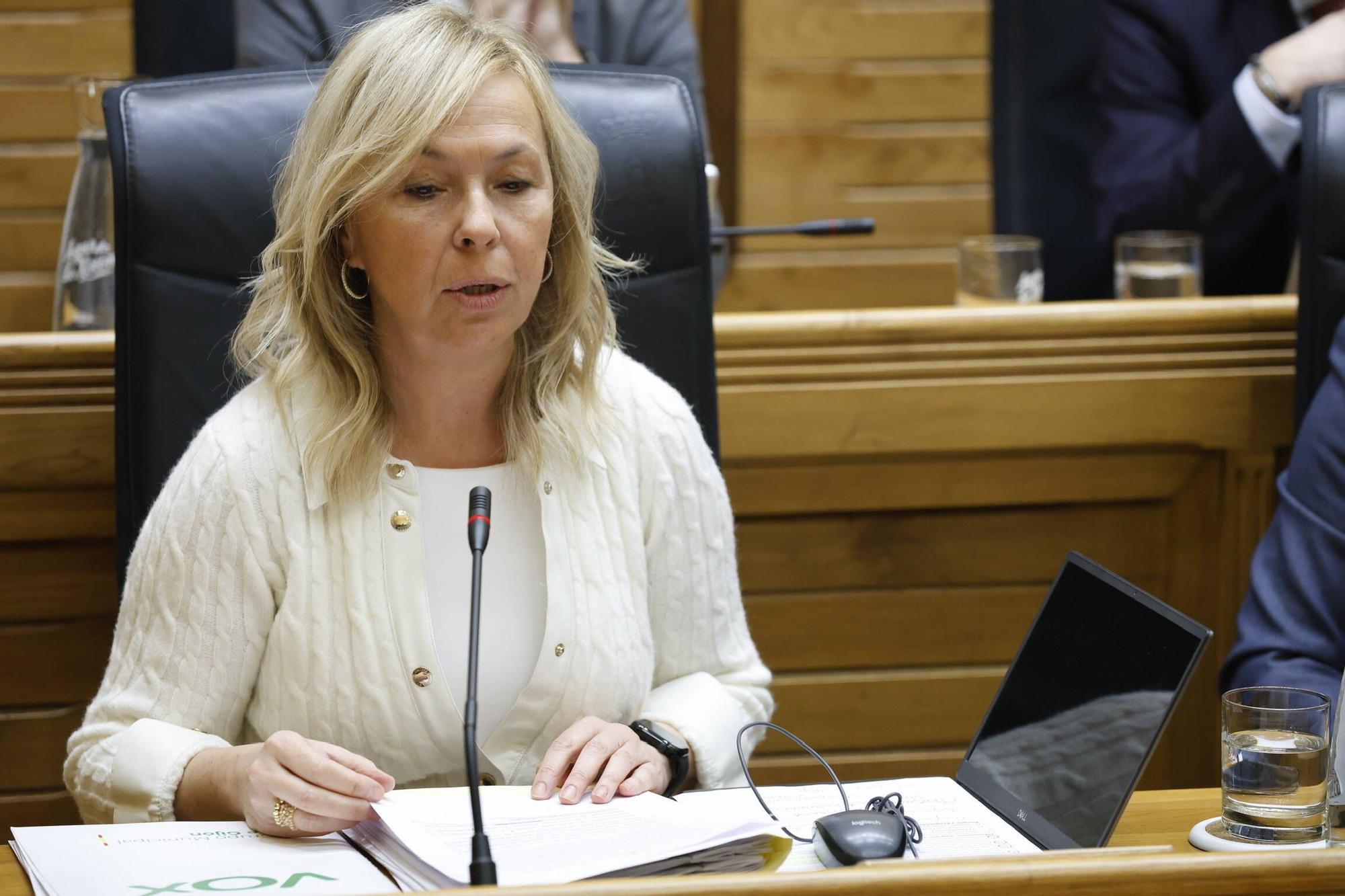 El pleno municipal en Gijón del mes de febrero, en imágenes