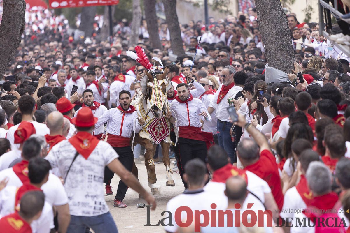 Así se ha vivido la carrera de Los Caballos del Vino en Caravaca