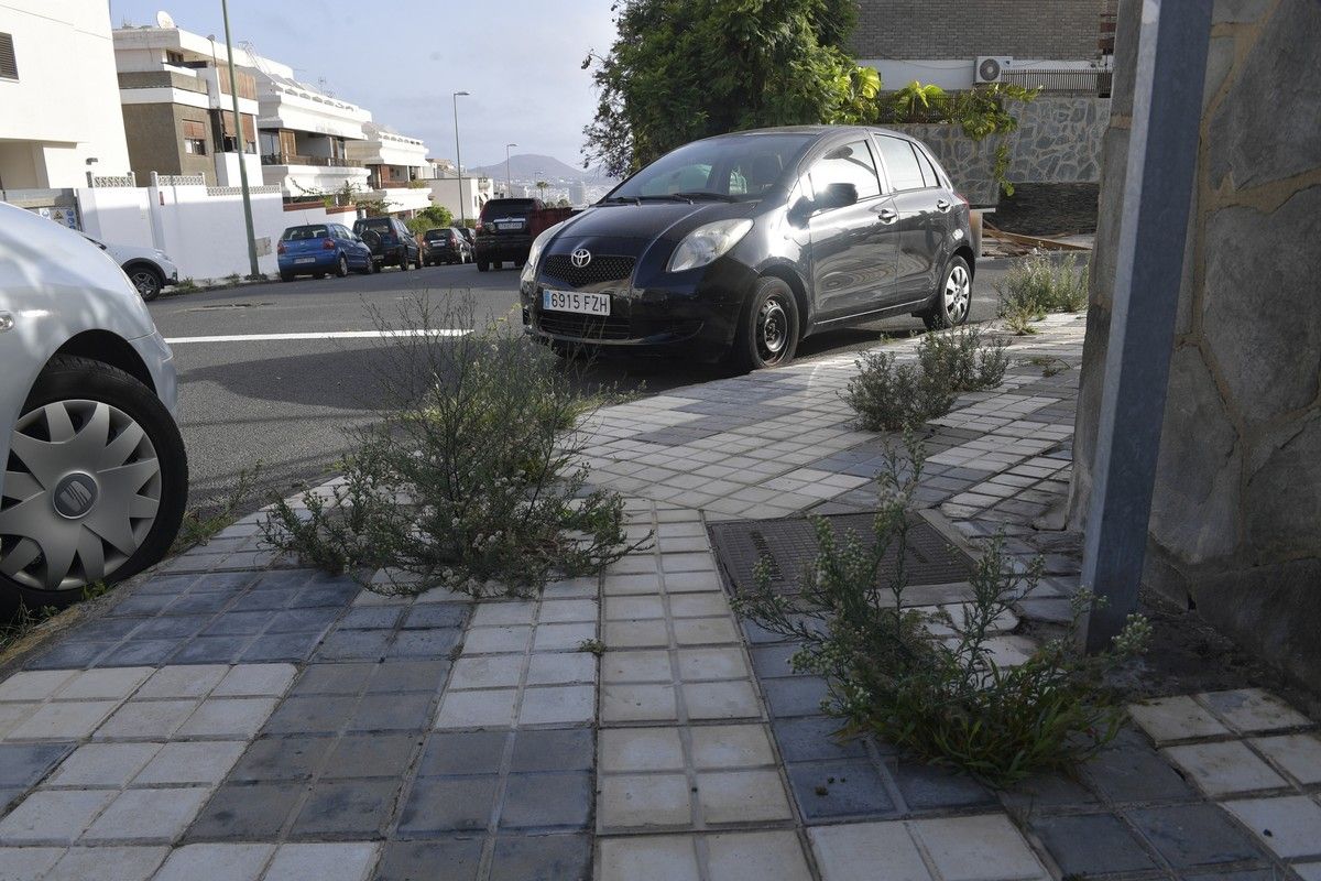 Hierbas en aceras de las calles de Escaleritas