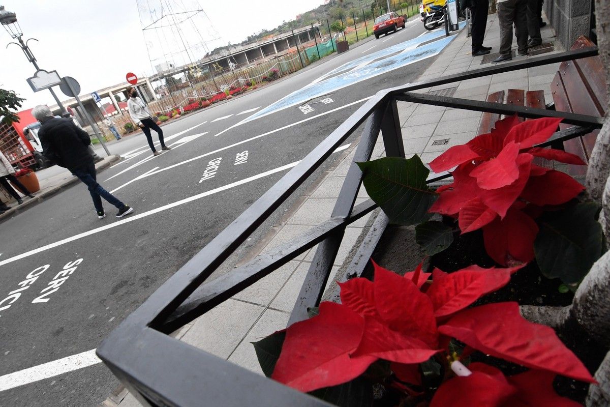 Santa Brígida en Navidad