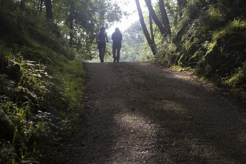 Rutas por Asturias: foces del río Pendón