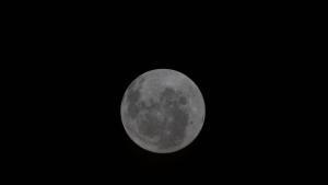 El gran dia de la missió Artemis ja és aquí: la NASA es prepara per fer història, batre un rècord, veure un eclipsi i sobrevolar la cara oculta de la Lluna