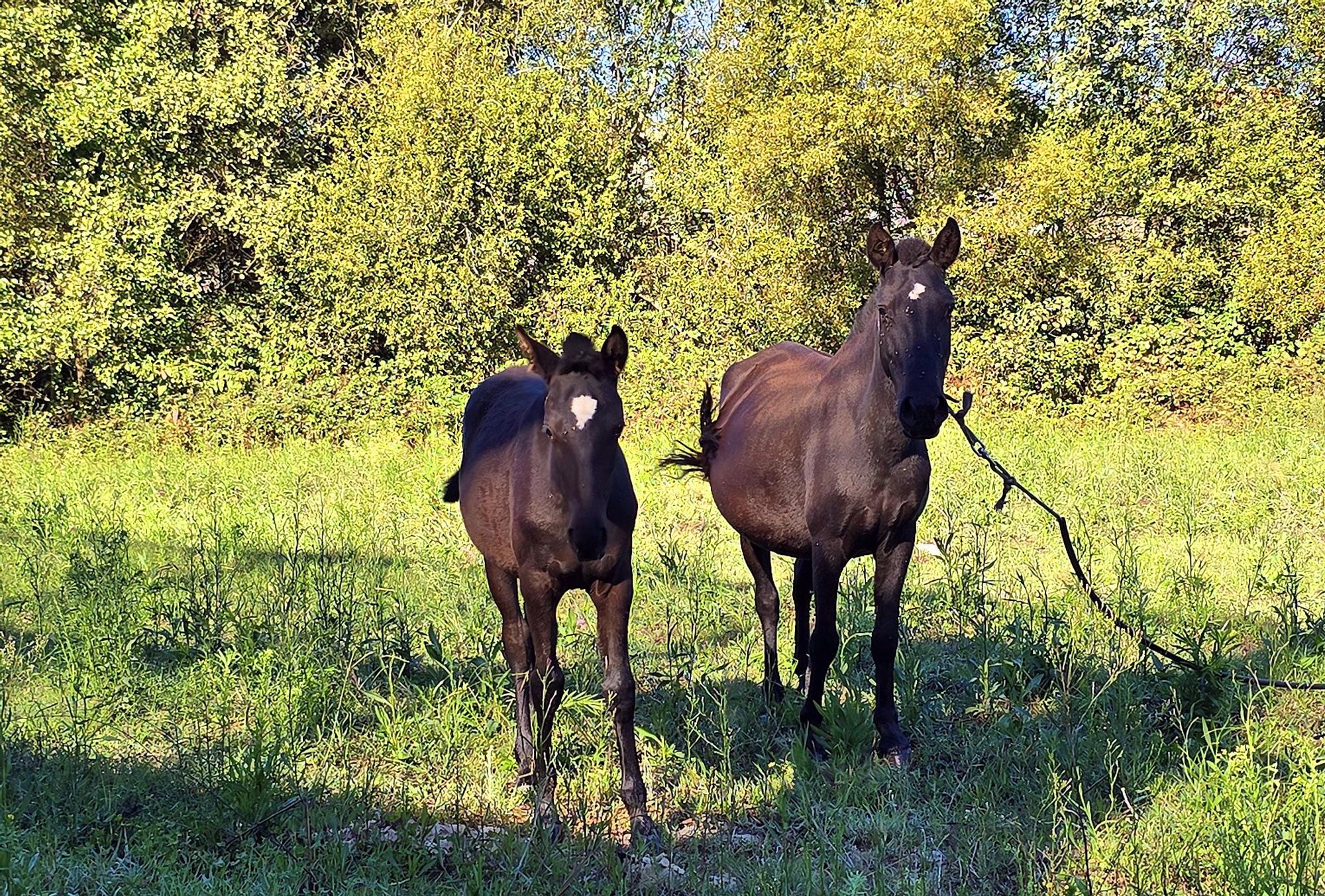 Visita a las nuevas naves de la Zona Franca para empresas tecnológicas en Pordo do Molle