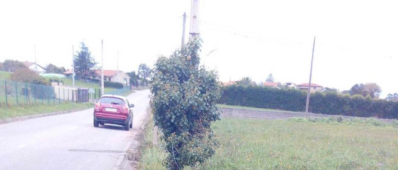 Lugar del accidente, ayer, con restos de la moto y el poste tirado.