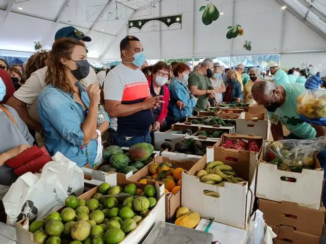 El aguacate recupera su trono