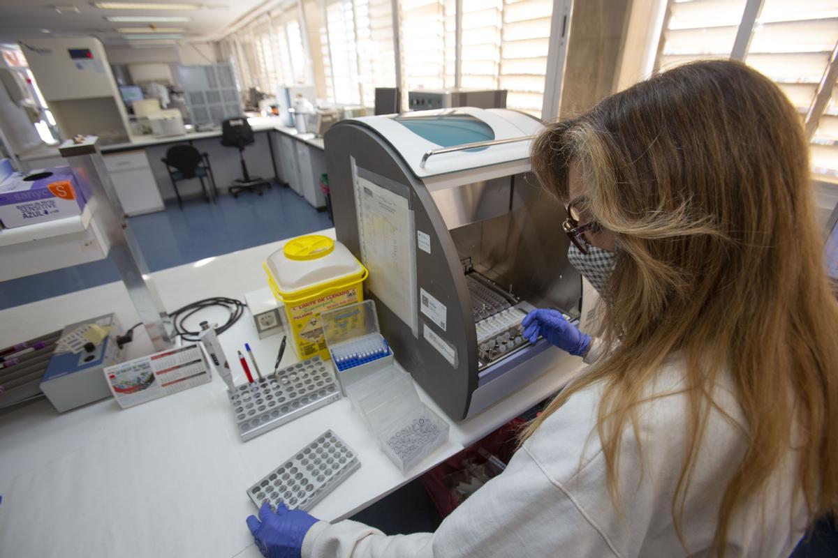 El laboratorio de genética y biología molecular del Hospital de Alicante