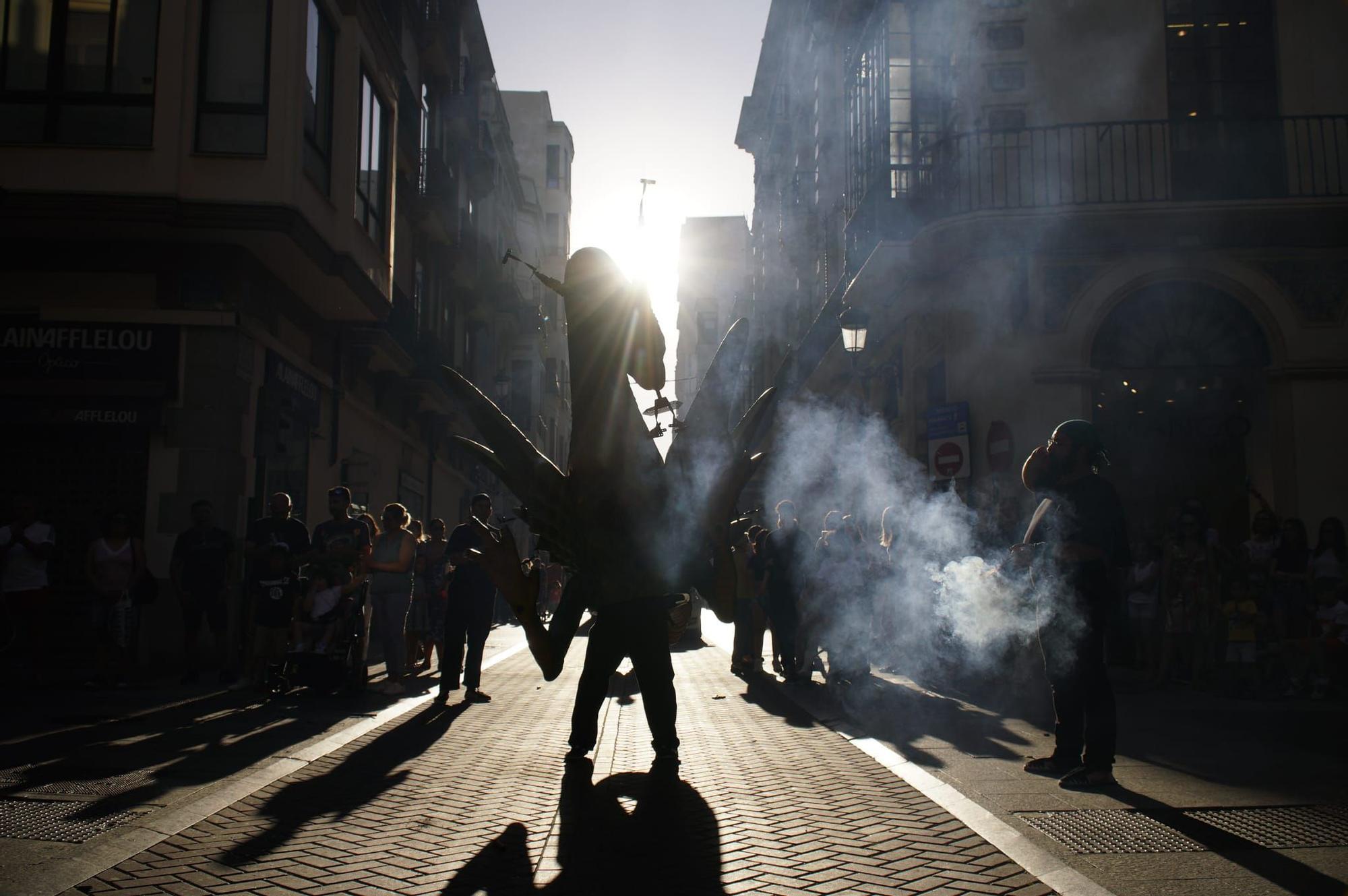 Castelló celebra la XXII Trobada de Bèsties de Foc