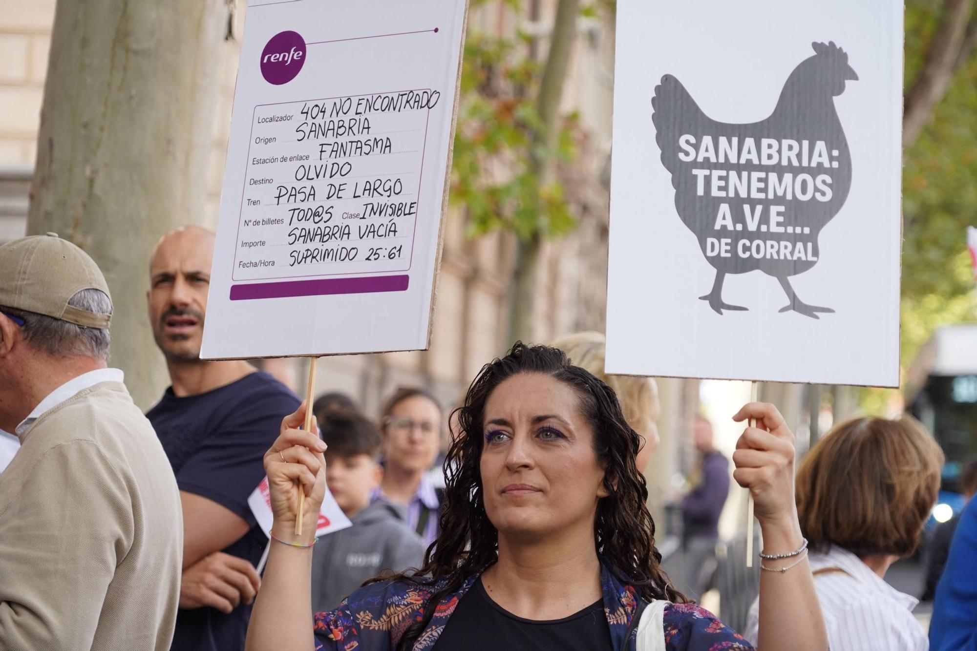 Manifestación por el AVE de Sanabria en Madrid: protesta por el tren a las puertas de Renfe